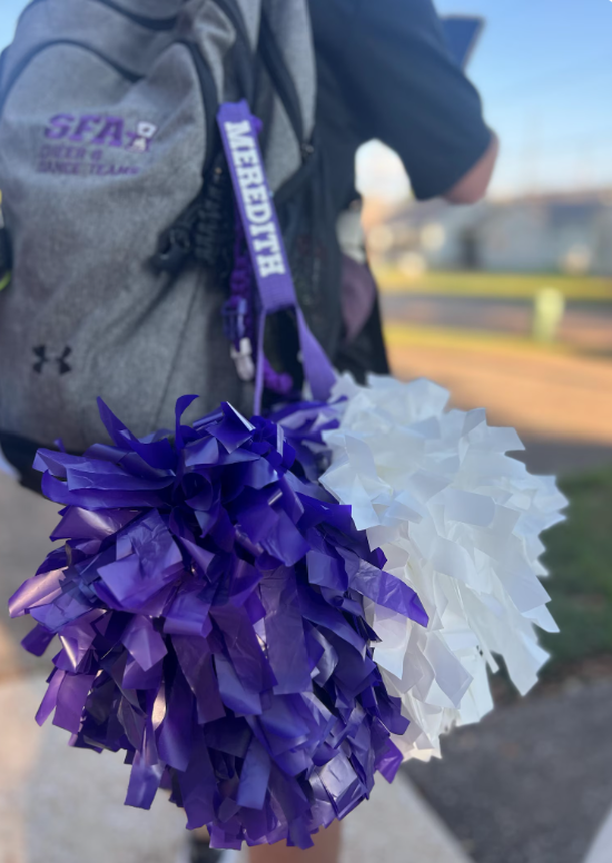 Pom Caddy